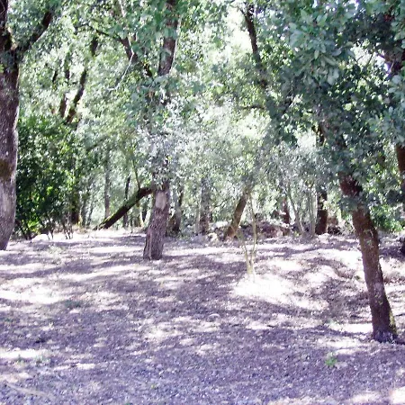Quinta De S. Vicente