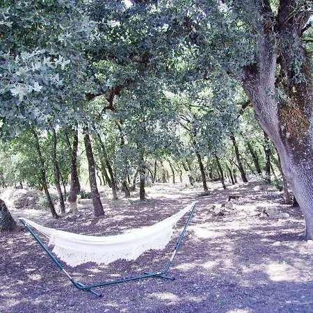 Quinta De S. Vicente