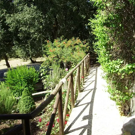 Quinta De S. Vicente *